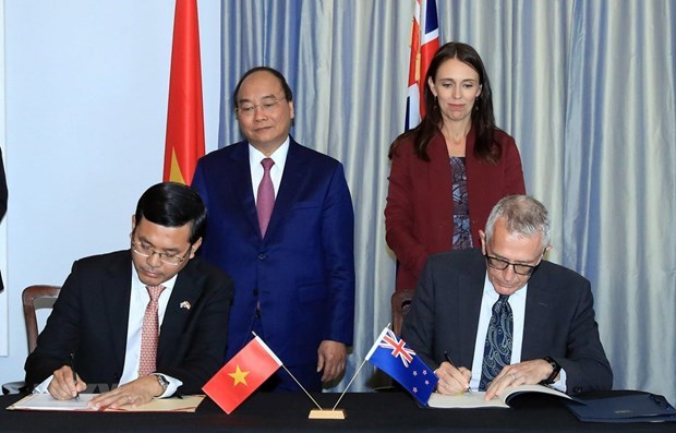 Vietnam, New Zealand step up cooperation in raft of fields: Ambassador hinh anh 1
