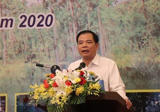 Minister requests efforts for forestry protection, development hinh anh 1