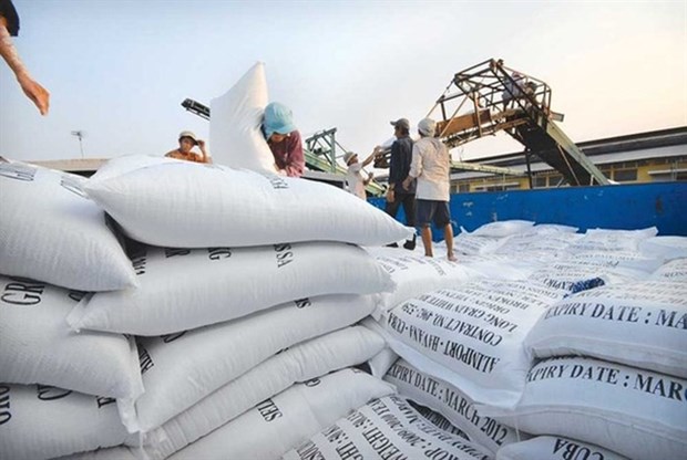 Rice export price lowest in two months hinh anh 1