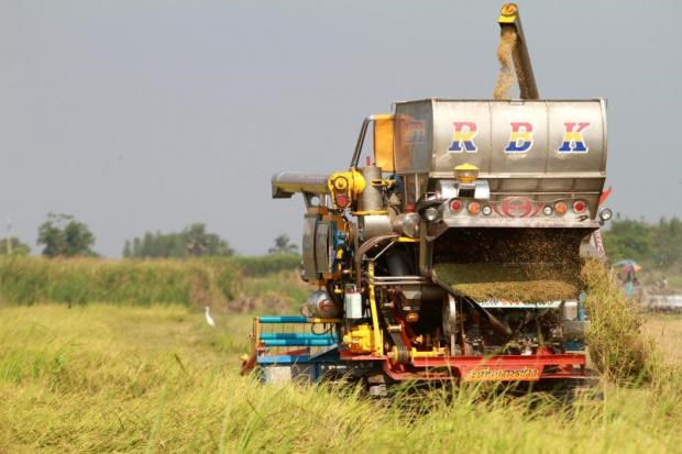 Thailand plans to recover agriculture hinh anh 1