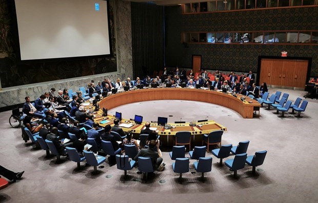 UN Security Council adopts Vietnamese-compiled resolution hinh anh 1