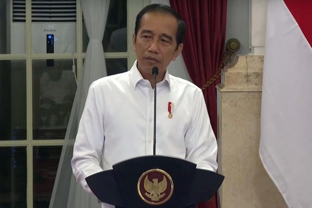 Indonesian President orders quick disbursement of budget for COVID-19 fight hinh anh 1