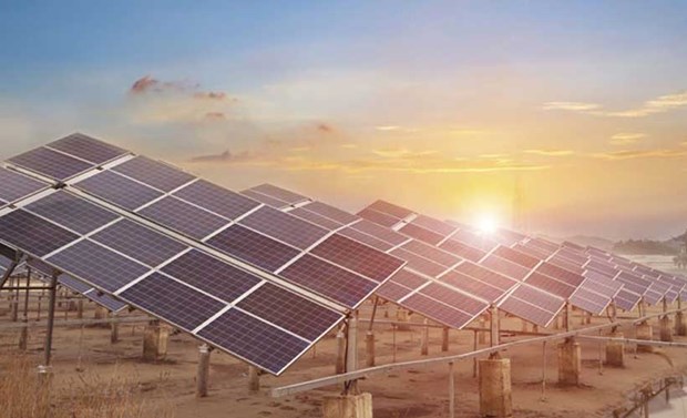 Sharp Corp. to launch solar power plant in Vietnam soon hinh anh 1