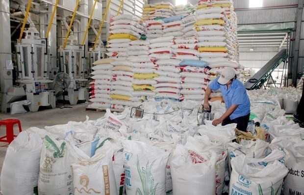 Rice exports up nearly 18 percent in H1 hinh anh 1