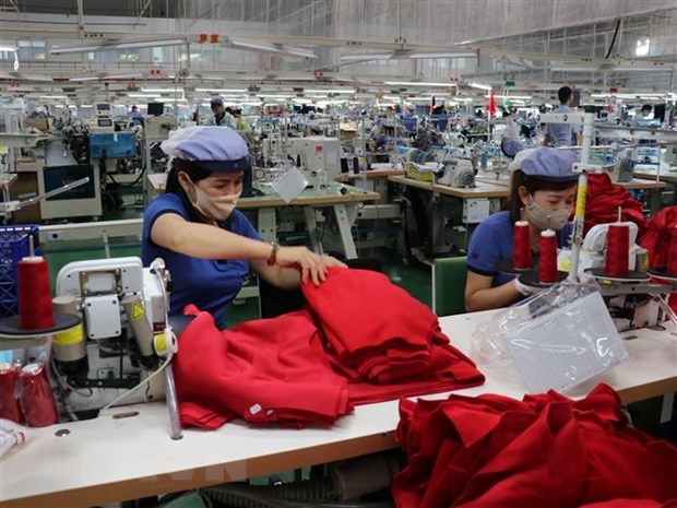 Job losses on the way as firms look to downsize hinh anh 1