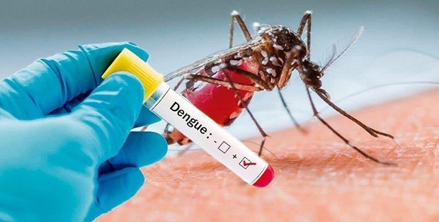 Laos reports 54 new cases, one more death from dengue fever hinh anh 1