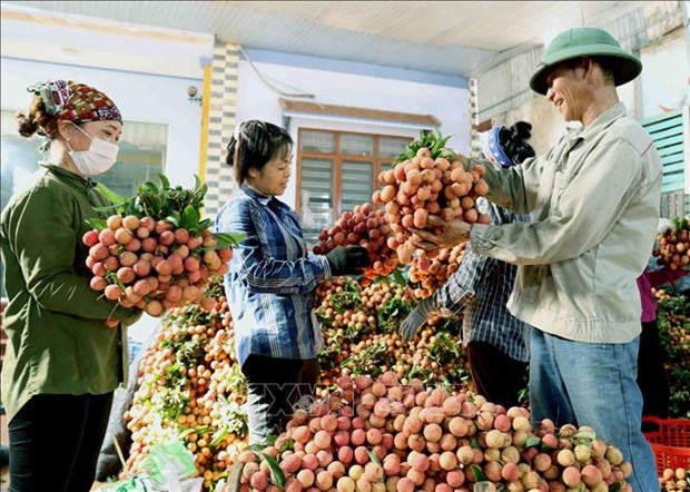 Teleconference seeks ways to bring Vietnamese consumer goods to China hinh anh 1