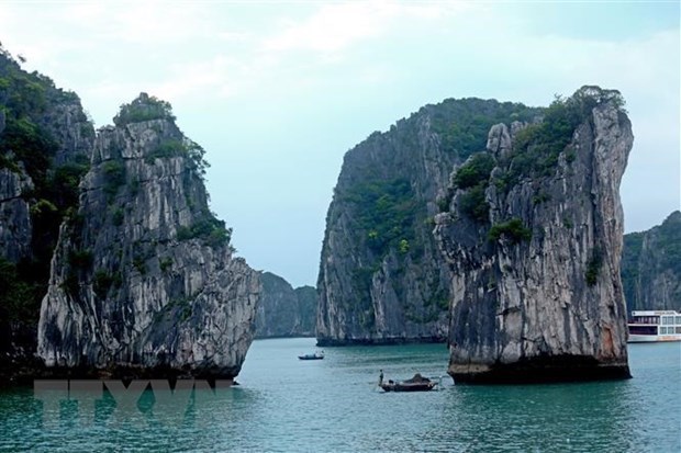 Ha Long Bay sightseeing ticket fares down by half for cruise tourists hinh anh 1
