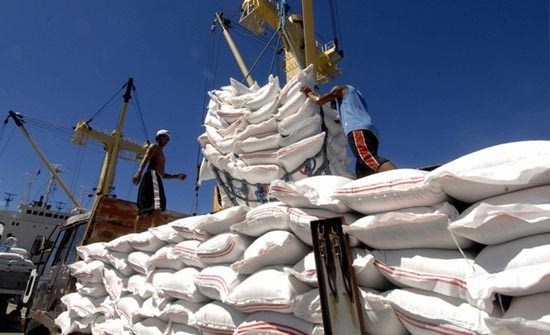 Vietnam to increase rice exports to EU under EVFTA hinh anh 1