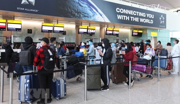Over 340 Vietnamese citizens repatriated from UK hinh anh 1