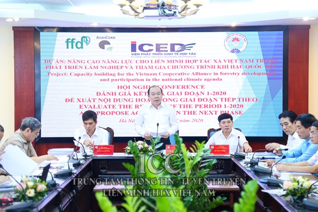 Project to enhance capacity of cooperatives in forestry development reviewed hinh anh 1