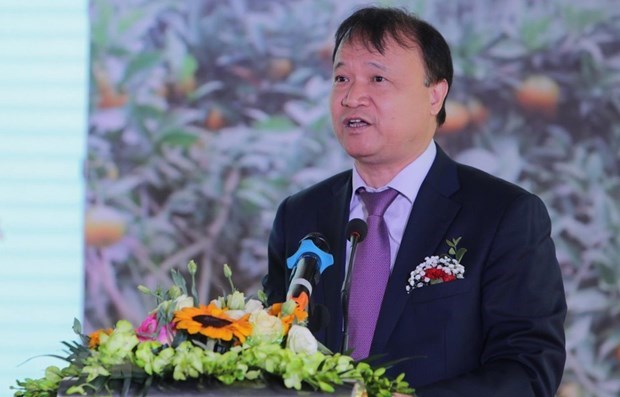 Vietnam, Chile seek to foster economic, trade cooperation hinh anh 1