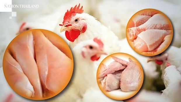 Thailand cuts chicken production as global demand drops hinh anh 1