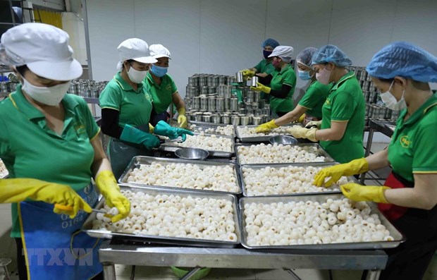Fruit and vegetable exports down over 12 percent in first seven months hinh anh 1