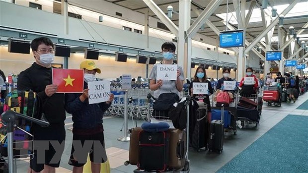 Over 310 Vietnamese citizens in RoK brought home hinh anh 1