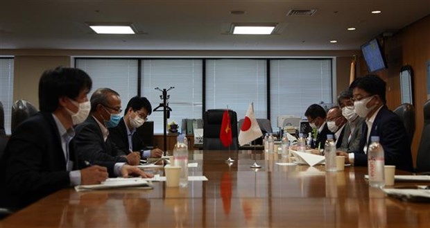 Japanese ministry pledges support for Vietnamese interns hinh anh 1
