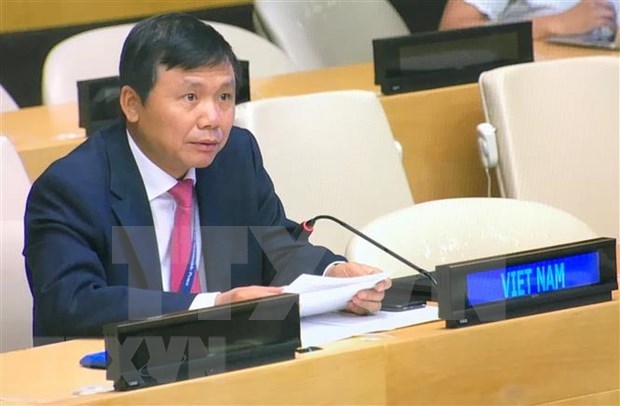 Vietnam supports UNSC’s resolution for peace, security in Guinea-Bissau hinh anh 1