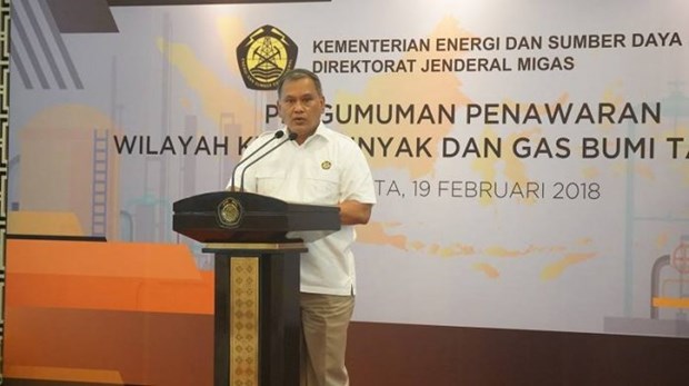 Indonesia offers 10 oil and gas projects in 2020 hinh anh 1