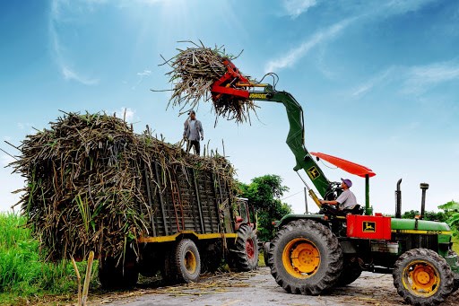 Vietnam promotes measures to manage local sugar market hinh anh 1