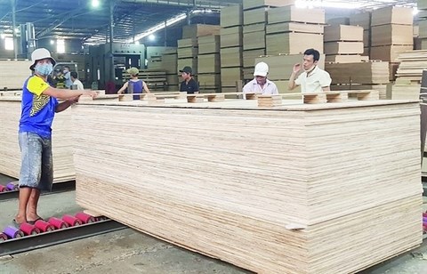 Local firms still not aware of anti-dumping investigations hinh anh 1