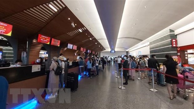 Authorities bring home 230 Vietnamese citizens from Taiwan hinh anh 1