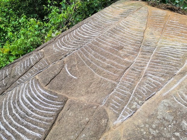 More ancient slabs with engravings of terraced fields found in Yen Bai hinh anh 1