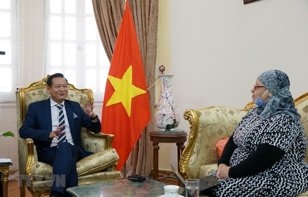 Vietnam's National Day celebrated in Egypt, South Africa hinh anh 1