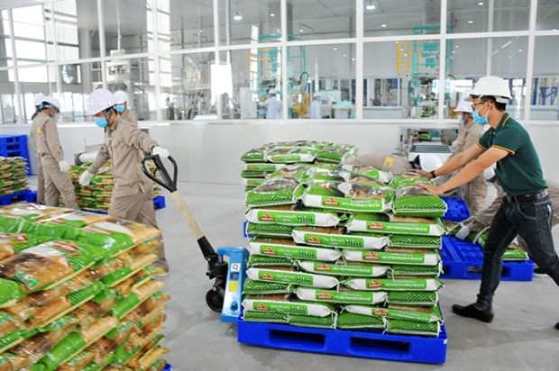 Vietnamese rice takes bite out of global market hinh anh 1