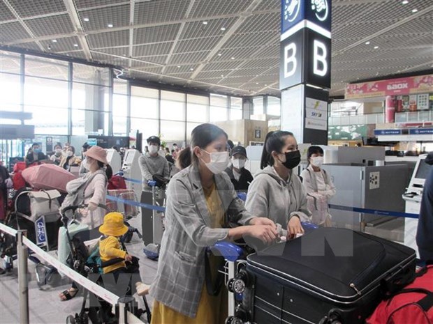 More than 350 Vietnamese citizens in Japan repatriated hinh anh 1
