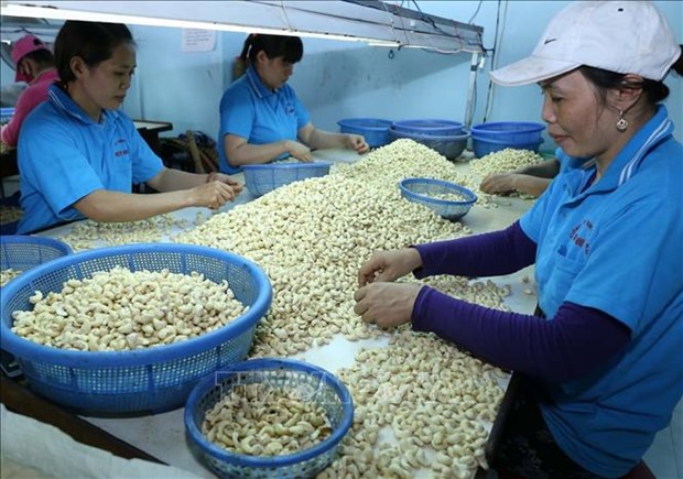 Ministry seeks ways to increase imports from US hinh anh 1
