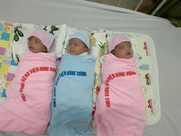 Vietnam sees increasing survival rate of premature infants hinh anh 1