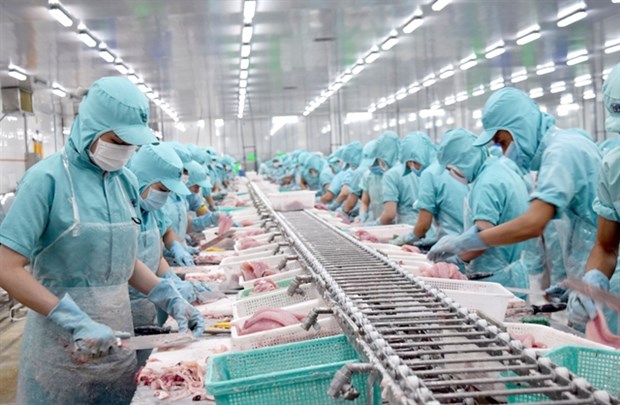 Tra fish exporters struggle with production, exports hinh anh 1