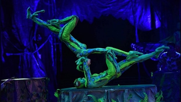 Circus, traditional arts to be combined on stage for first time hinh anh 1