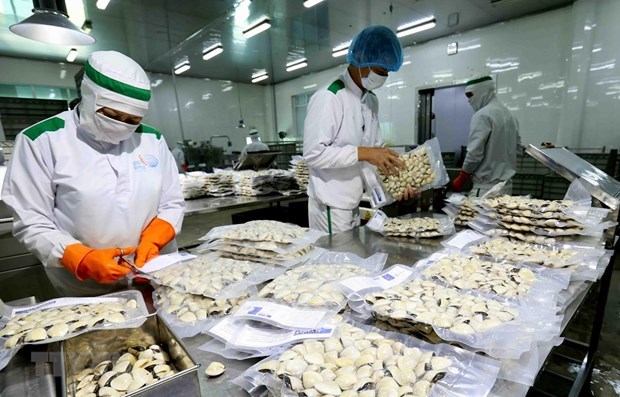 Trade surplus reaches record high in nine months and a half hinh anh 1