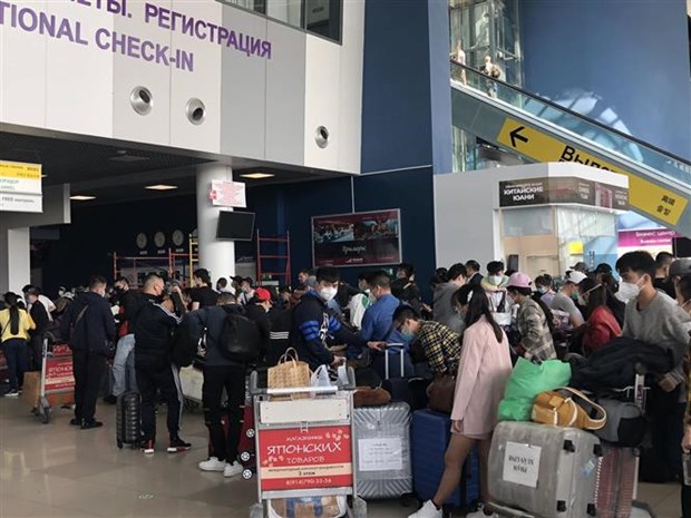 Over 270 Vietnamese citizens return from Russia hinh anh 1