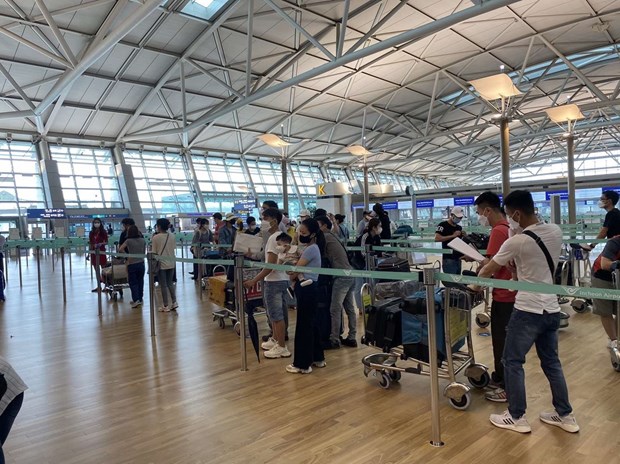 More than 250 Vietnamese citizens brought home from RoK hinh anh 1