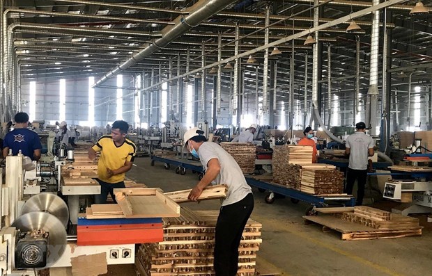 Agro-forestry-fishery enjoys 7.25 billion USD trade surplus in nine months hinh anh 1
