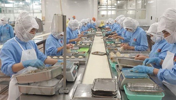 Vietnam likely to earn 300 billion USD in exports this year hinh anh 1
