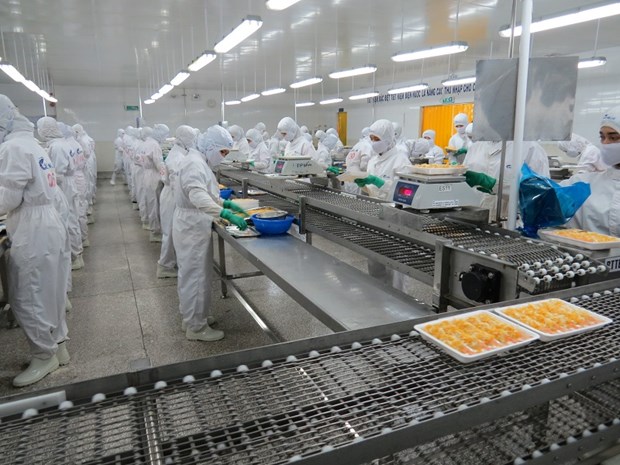 Can Tho has more than 1,000 new enterprises in nine months hinh anh 1