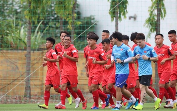 Vietnam U22 team to take part in Toulon Tournament hinh anh 1