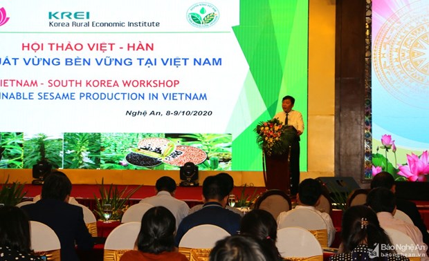 Vietnam, RoK cooperate in sustainable sesame production hinh anh 1