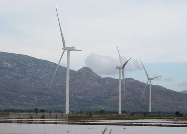 Ninh Thuan looks to become national renewable energy centre hinh anh 1