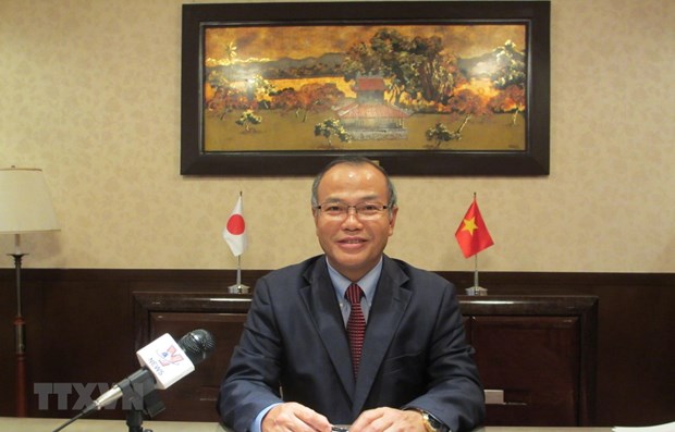 Vietnam-Japan ties a model of win-win partnership: Diplomat hinh anh 1