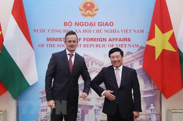 Deputy PM, FM highlights Vietnam-Hungary traditional friendship hinh anh 1