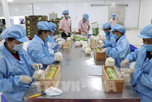 EVFTA brings myriad opportunities for Vietnam exporters: official hinh anh 1