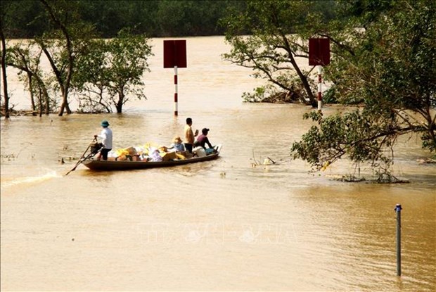RoK provides 300,000 USD for Vietnamese flood-hit people hinh anh 1