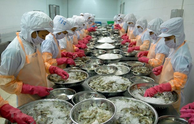 Fisheries targeted to become major production industry hinh anh 1