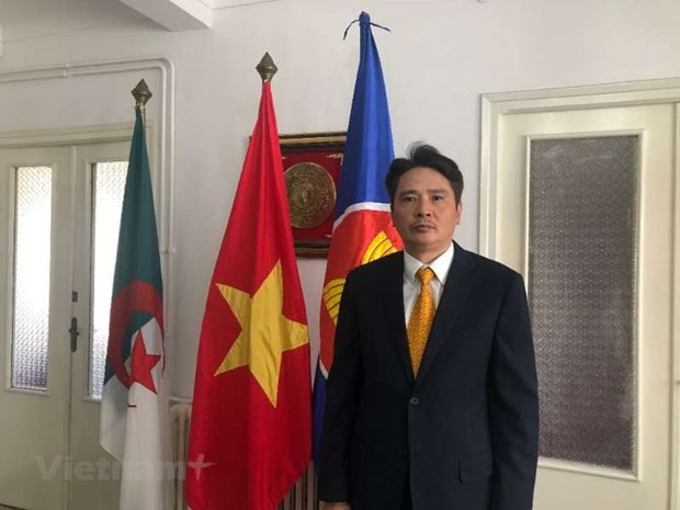 Ambassador lauds Vietnam-Algeria friendly, traditional relations hinh anh 1