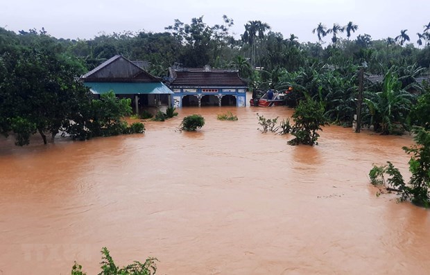 Seven working groups set up to handle flood consequences hinh anh 1
