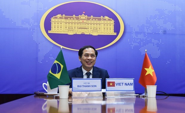 7th Vietnam – Brazil political consultation held hinh anh 1